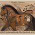 Equus Film Festivals